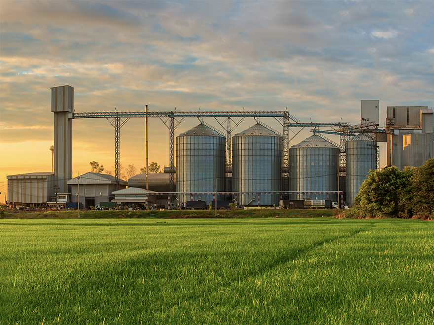 Backbone East Africa company overview