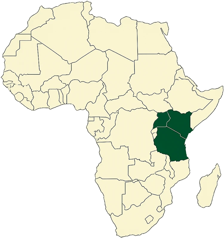 Backbone East Africa branch network map